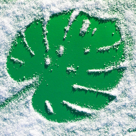Monstera leaf trace on green paper under snowfall. Winter and summer contrast conceptの写真素材