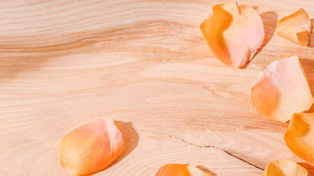 Rose petals on wood in sunlight. Simple rural beautyの写真素材