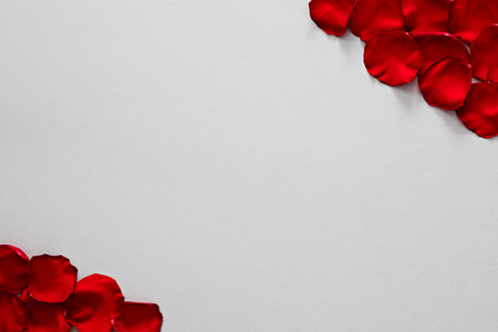 Red rose petals on gray paper texture. Valentines day background.の写真素材