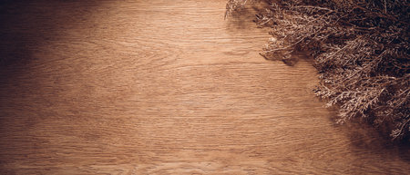 Bronze branch on oak texture backgroundの写真素材