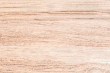 Light ash wood surface texture backgroundの写真素材