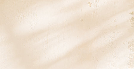 Warm white plastered wall illuminated by sunlight with shadows of leavesの写真素材