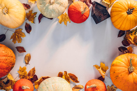 Colorful pumpkins and fallen leaves in sunlight for Halloween background with copy spaceの写真素材