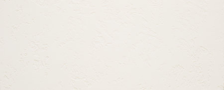 White textured plaster texture. Stone wall backgroundの写真素材