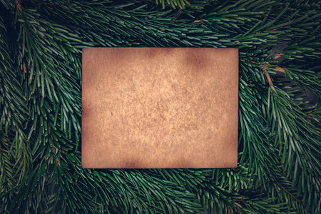 Aged kraft paper texture copy space on Christmas tree branches texture backgroundの写真素材
