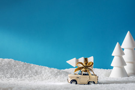 A small toy car transporting Christmas tree in the middle of snowy forestの写真素材