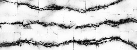 Black and white grunge pattern with brush strokes and textures across a smooth surface.の写真素材