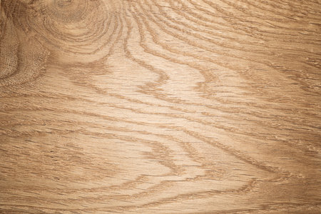 Close-up view of oak wood texture showcasing distinctive grain patterns. The smooth surface reflects a warm light, emphasizing the woods natural beauty and strength.の写真素材