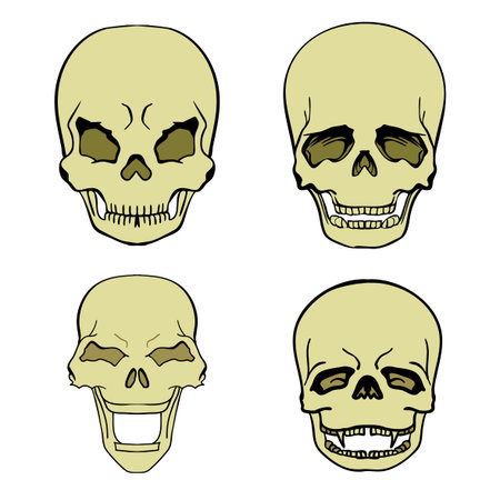 set of aggressive skulls, boneのイラスト素材