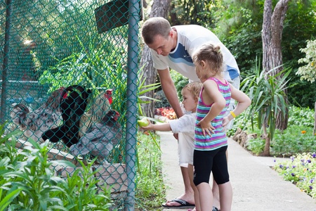 Child feeding cocks in the zoo with familyの写真素材