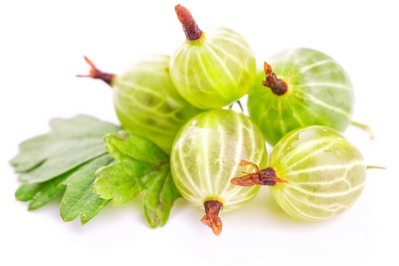 Gooseberries with leaves isolated on white backgroundの写真素材