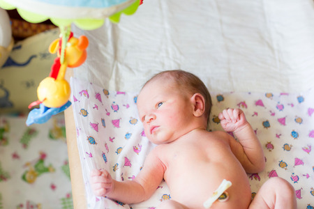 Newborn baby, 3 days old at homeの写真素材
