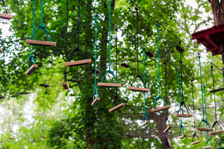 Adventure climbing high wire park, rope extreme park