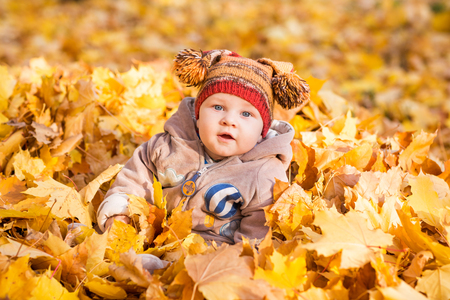 Cute baby in autumn leaves. First autumnの写真素材