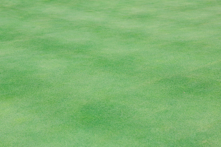 Perfect wavy ground with nice green grass on a golf fieldの写真素材