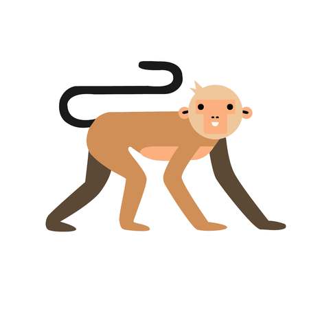 Cute cartoon image of capuchin monkey, vector illustrationのイラスト素材