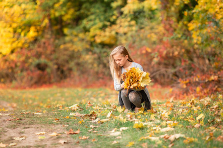 Beautiful little girl gathering autumn leaves in the park outdoor