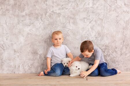 Two cute little baby boys playing with little white puppies. First best pet friend conceptの写真素材