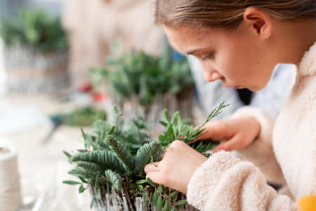 Creating Christmas floral arrangement with carnations, chrysanthemum santini flowers and fir. Floral Design basicsの写真素材
