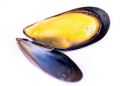 Half-opened mussel shellfish on white background