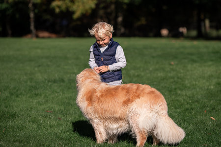 Little boy playing and training golden retriever dog in the field in summer day together. Cute child with doggy pet portrait at nature. Dog pet child's best friendの写真素材