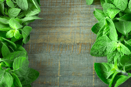 Fresh mint leaves  on rustic wooden background with copyspaceの写真素材