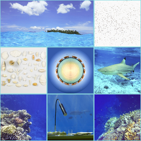 Collage of travel to tropical islands. Underwater world of coral and fish, underwater restaurant, seashells on a horizontal surface, sand, tropical island.の写真素材