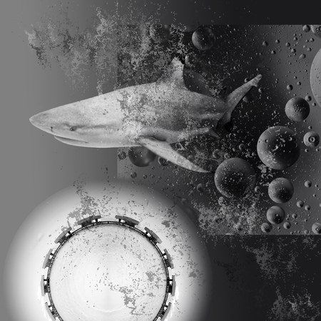 Black and white abstract collage. Tropics, Concept. The shark emerges from the dark abyssの写真素材