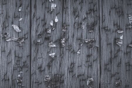 Old wooden noticeboard studded with rusty nails and paper clips with scraps of old papers. Background of old cracked and shabby boards. Texture splashの写真素材