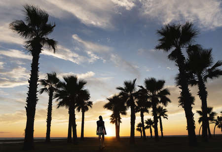 A young dark-skinned girl goes to meet the setting sun in the sea. The slender figure of a woman between the tall trunks of palm treesの写真素材