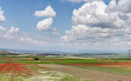 An endless blue sky with fluffy white clouds casting a shadow on the ground. Rural landscape with fields and flowering meadows and a mountain range on the horizonの写真素材