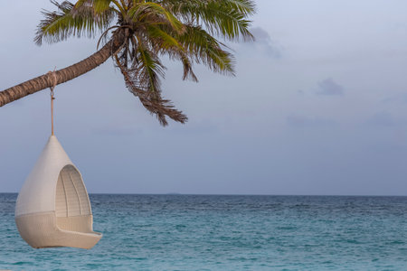 <p>A rocking chair hanging from a palm tree by the ocean on a tropical island. Turquoise ocean water with a tropical island on the horizon.</p>の写真素材