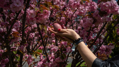 A hand with red-painted nails holds two Easter eggs, one pink and one dark red, against blooming...