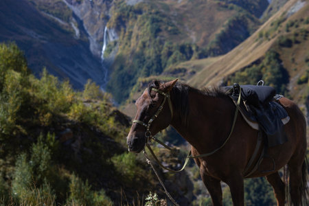 A brown horse with a saddle stands on a grassy mountain slope, surrounded by lush green trees. In the background, a scenic valley with a tall waterfall flows between rugged hills under a clear sky.の写真素材