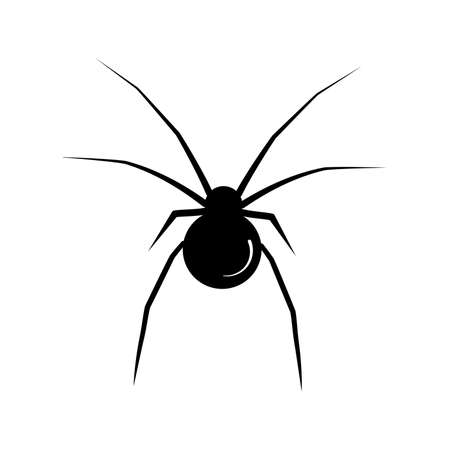 Black spider on a white background. Vector illustrationのイラスト素材
