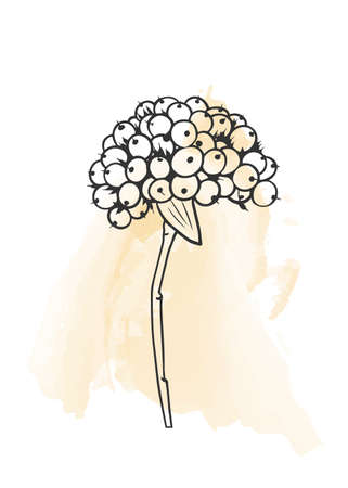 A modern universal art poster. Suitable for greeting cards, posters, holiday cards, corporate cards and invitations. Abstract design. Vector illustration. Doodleのイラスト素材