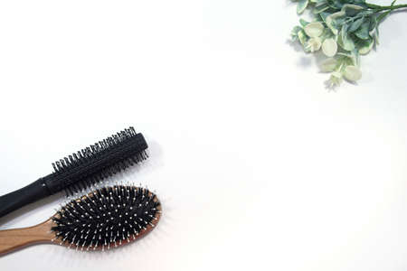 Professional combs on a white background. Three combs on a light background. Space for the text.の写真素材