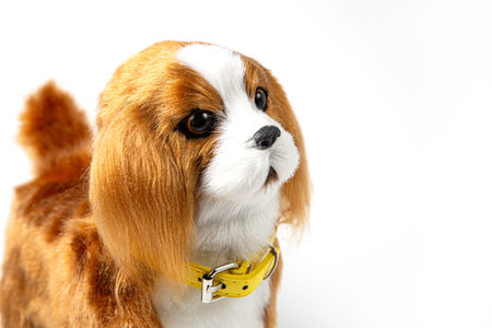 A beautiful childrens toy dog of the spaniel breed on a white background.の写真素材
