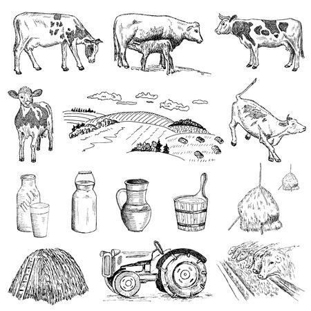 cow and milk  hand drawing set of vector sketchesのイラスト素材