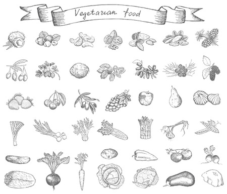 vegetarian foodのイラスト素材