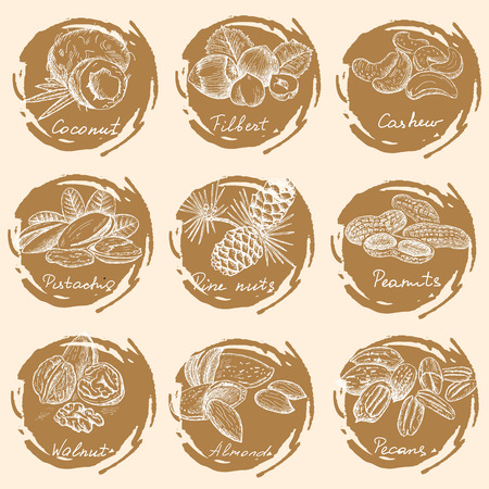 nuts setのイラスト素材