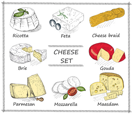 cheese. hand drawing set of vector sketchesのイラスト素材