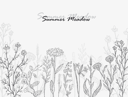 Vector card with hand drawn summer meadow. Vintage design with herbs and flowers illustration.のイラスト素材