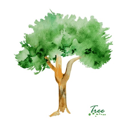 Watercolor tree with green leaves. Hand painted realistic illustration. Vintage design tree on white background.のイラスト素材