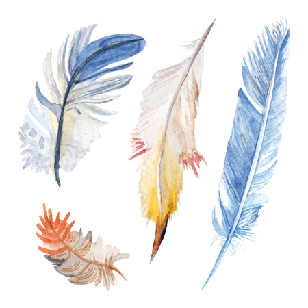 Watercolor bird four various feathersのイラスト素材