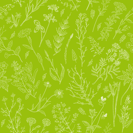 Herbs and wild flowers seamless pattern.のイラスト素材
