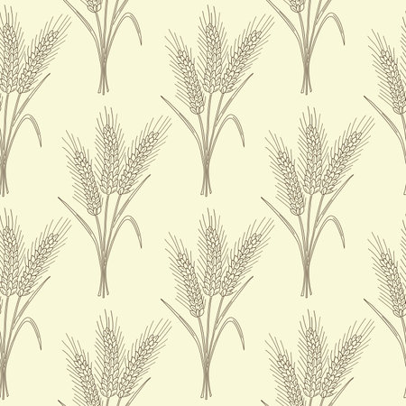 Hand drawn ears of wheat.のイラスト素材