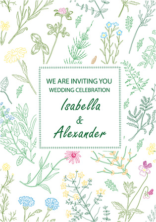 Wedding invitation frames with herbs and wild flowers.のイラスト素材