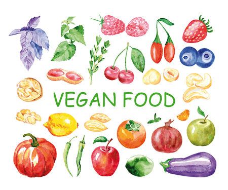 Watercolor vegan food. Hand painted realistic illustration on paper. Vintage design food isolated on white background.のイラスト素材