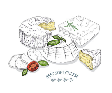 Best Soft Cheese. Vector sketches hand drawn illustration on white background. Flyer, booklet advertising and design. Line art style.のイラスト素材